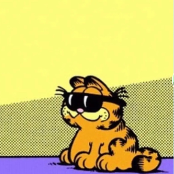 shnazzyb0i